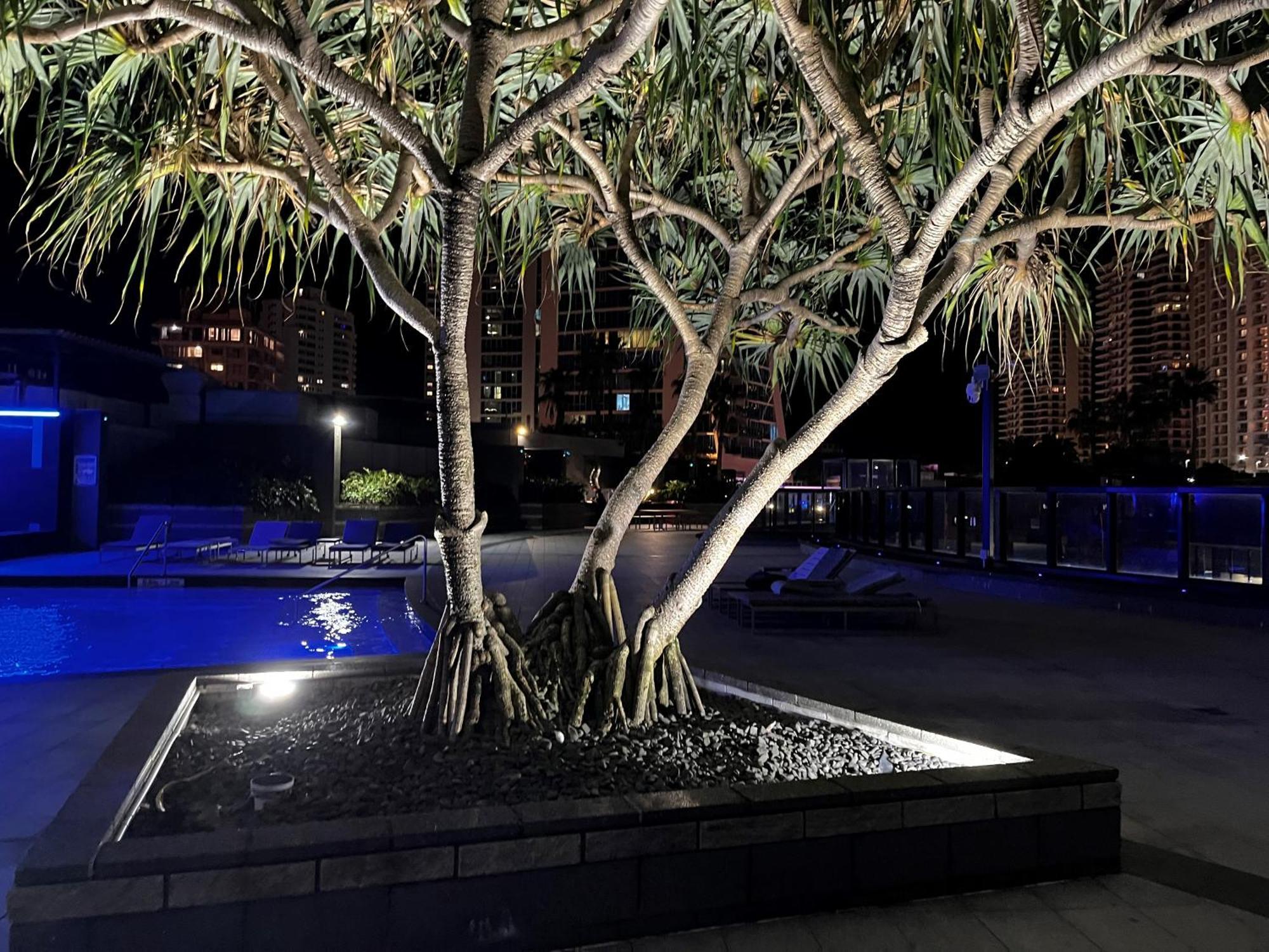 Circle On Cavil Holidays โกลด์โคสต์ ภายนอก รูปภาพ